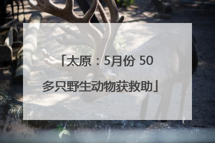 太原：5月份 50多只野生动物获救助