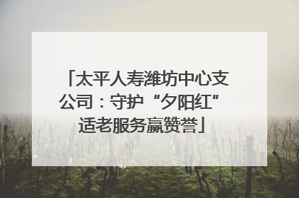 太平人寿潍坊中心支公司：守护“夕阳红” 适老服务赢赞誉