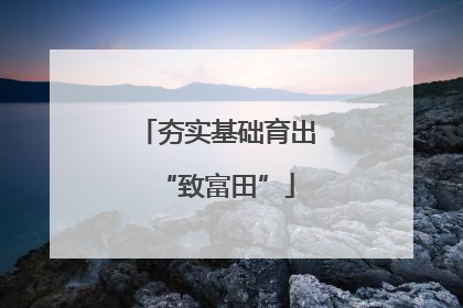 夯实基础育出“致富田”