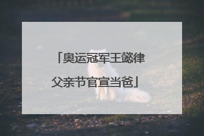 奥运冠军王懿律父亲节官宣当爸