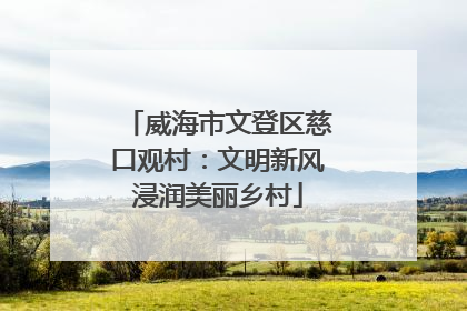 威海市文登区慈口观村：文明新风浸润美丽乡村