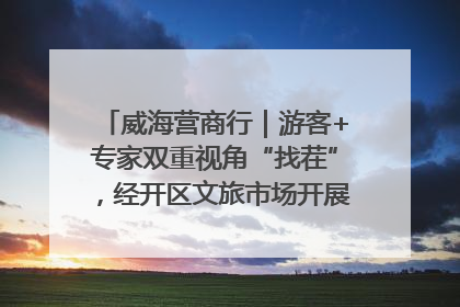 威海营商行｜游客+专家双重视角“找茬”，经开区文旅市场开展暑期前“体检”