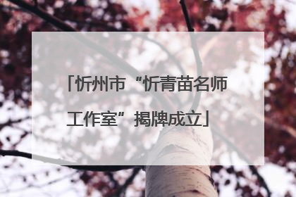 忻州市“忻青苗名师工作室”揭牌成立