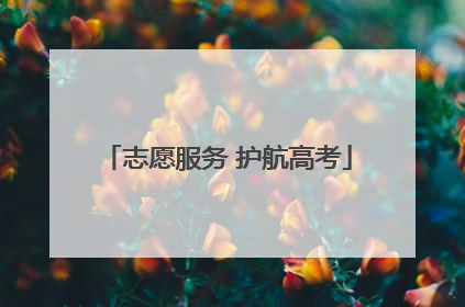 志愿服务 护航高考