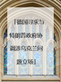 德国寻求与特朗普政府协调涉乌克兰问题立场