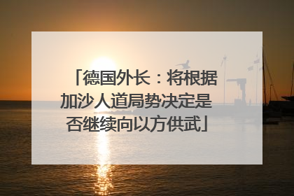 德国外长：将根据加沙人道局势决定是否继续向以方供武