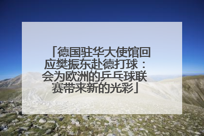 德国驻华大使馆回应樊振东赴德打球：会为欧洲的乒乓球联赛带来新的光彩