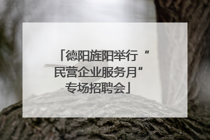 德阳旌阳举行“民营企业服务月”专场招聘会