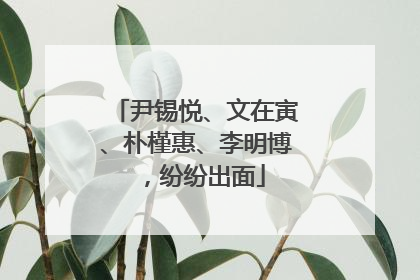 尹锡悦、文在寅、朴槿惠、李明博，纷纷出面