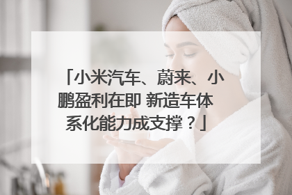 小米汽车、蔚来、小鹏盈利在即 新造车体系化能力成支撑？