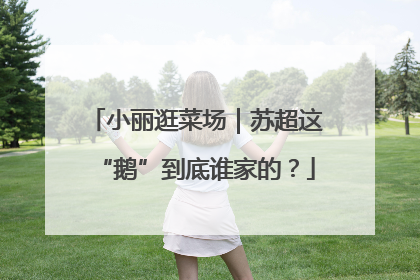 小丽逛菜场｜苏超这“鹅”到底谁家的？
