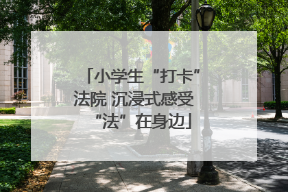 小学生“打卡”法院 沉浸式感受“法”在身边