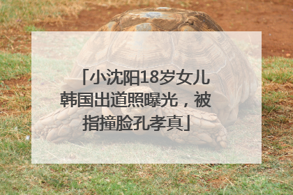 小沈阳18岁女儿韩国出道照曝光，被指撞脸孔孝真
