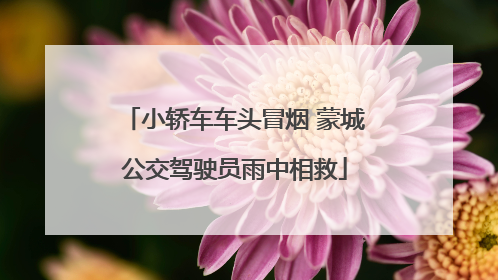 小轿车车头冒烟 蒙城公交驾驶员雨中相救