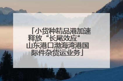 小货种精品港加速释放“长尾效应” 山东港口渤海湾港国际件杂货运业务