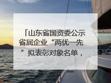 山东省国资委公示省属企业“两优一先”拟表彰对象名单，共250名（个）党员和党组织