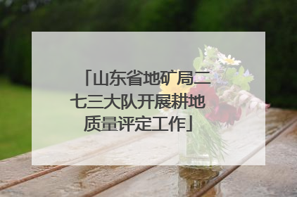 山东省地矿局二七三大队开展耕地质量评定工作