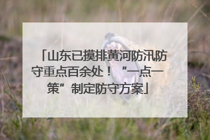 山东已摸排黄河防汛防守重点百余处！“一点一策”制定防守方案