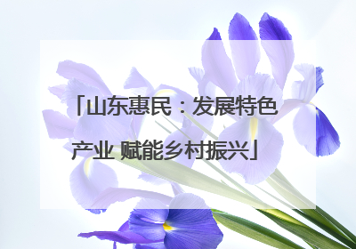 山东惠民：发展特色产业 赋能乡村振兴