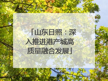 山东日照：深入推进港产城高质量融合发展