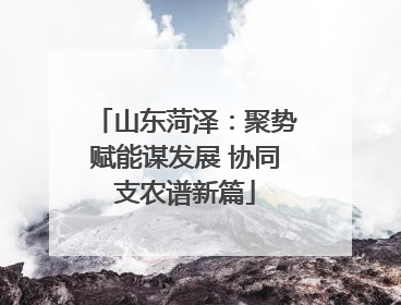 山东菏泽：聚势赋能谋发展 协同支农谱新篇