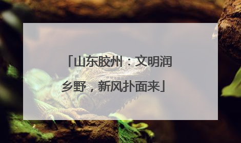 山东胶州：文明润乡野，新风扑面来