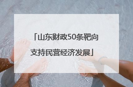 山东财政50条靶向支持民营经济发展