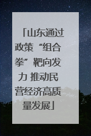 山东通过政策“组合拳”靶向发力 推动民营经济高质量发展