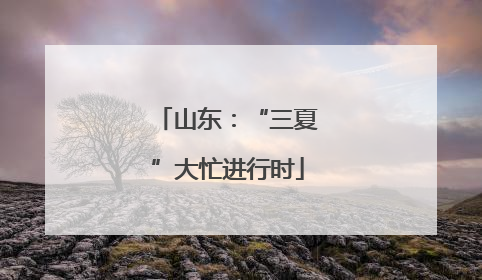 山东：“三夏”大忙进行时