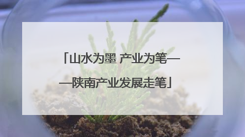 山水为墨 产业为笔——陕南产业发展走笔