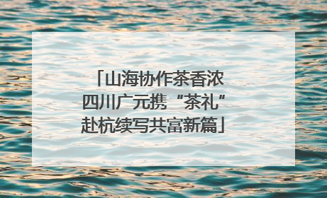 山海协作茶香浓 四川广元携“茶礼”赴杭续写共富新篇