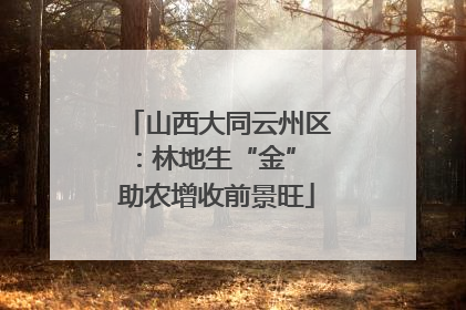 山西大同云州区：林地生“金” 助农增收前景旺