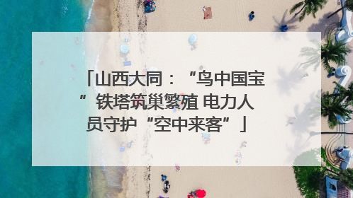 山西大同：“鸟中国宝”铁塔筑巢繁殖 电力人员守护“空中来客”