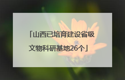 山西已培育建设省级文物科研基地26个