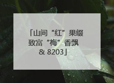 山间“红”果缀 致富“梅”香飘& 8203