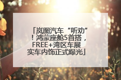 岚图汽车“听劝”！鸿蒙座舱5首搭，FREE+湾区车展实车内饰正式曝光