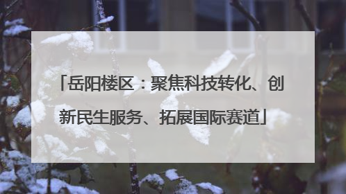 岳阳楼区：聚焦科技转化、创新民生服务、拓展国际赛道