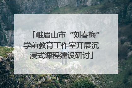 峨眉山市“刘春梅”学前教育工作室开展沉浸式课程建设研讨