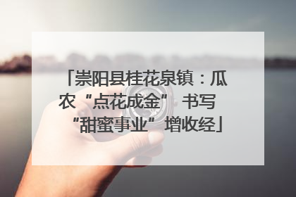 崇阳县桂花泉镇：瓜农“点花成金” 书写“甜蜜事业”增收经
