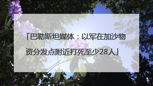 巴勒斯坦媒体：以军在加沙物资分发点附近打死至少28人