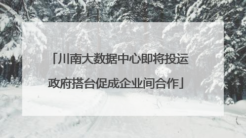 川南大数据中心即将投运 政府搭台促成企业间合作
