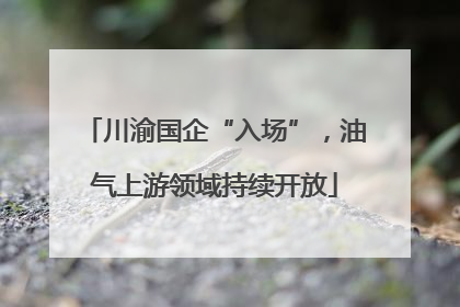 川渝国企“入场”，油气上游领域持续开放