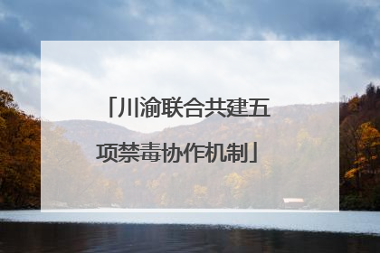 川渝联合共建五项禁毒协作机制