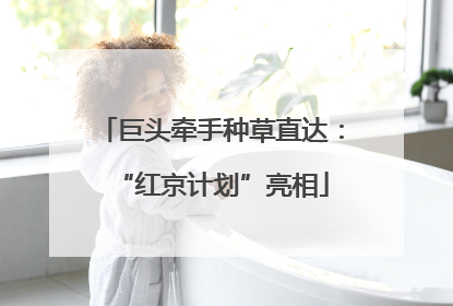 巨头牵手种草直达：“红京计划”亮相