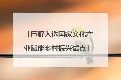 巨野入选国家文化产业赋能乡村振兴试点