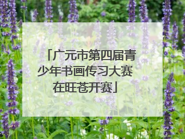 广元市第四届青少年书画传习大赛在旺苍开赛