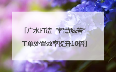 广水打造“智慧城管” 工单处置效率提升10倍