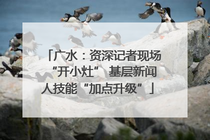 广水：资深记者现场“开小灶” 基层新闻人技能“加点升级”