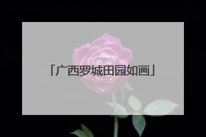 广西罗城田园如画