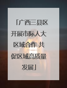 广西三县区开展市际人大区域合作 共促区域高质量发展